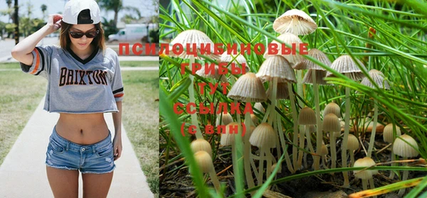 ешки Армянск